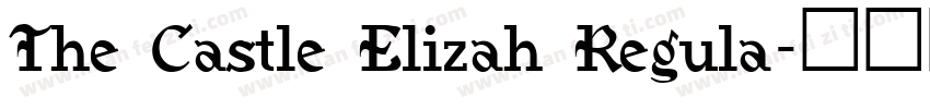 The Castle Elizah Regula字体转换